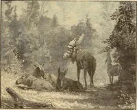 An illustration from American art and American art collections; essays on artistic subjects (1889)