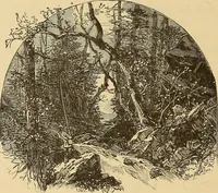 An illustration from American art and American art collections; essays on artistic subjects (1889)