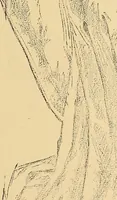 An illustration from American art and American art collections; essays on artistic subjects (1889)