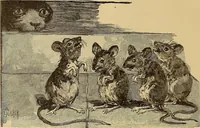 An illustration from American art and American art collections; essays on artistic subjects (1889)