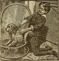 Picture 213 of 414 from American art and American art collections; essays on artistic subjects (1889), leaf 297