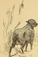 Picture 215 of 414 from American art and American art collections; essays on artistic subjects (1889), leaf 302