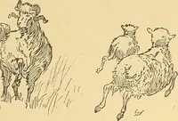 An illustration from American art and American art collections; essays on artistic subjects (1889)