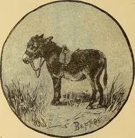An illustration from American art and American art collections; essays on artistic subjects (1889)