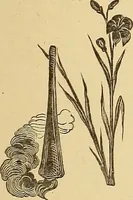 An illustration from American art and American art collections; essays on artistic subjects (1889)