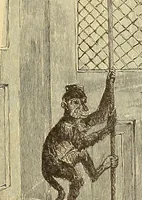 An illustration from American art and American art collections; essays on artistic subjects (1889)
