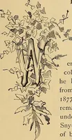 An illustration from American art and American art collections; essays on artistic subjects (1889)