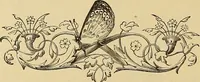 An illustration from American art and American art collections; essays on artistic subjects (1889)