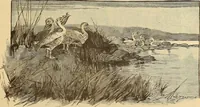 An illustration from American art and American art collections; essays on artistic subjects (1889)