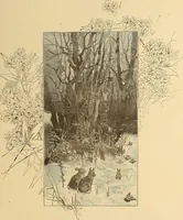 An illustration from American art and American art collections; essays on artistic subjects (1889)
