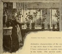 Picture 322 of 414 from American art and American art collections; essays on artistic subjects (1889), leaf 454