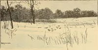 An illustration from American art and American art collections; essays on artistic subjects (1889)