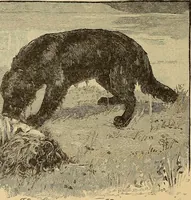 An illustration from American art and American art collections; essays on artistic subjects (1889)