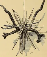 An illustration from American art and American art collections; essays on artistic subjects (1889)