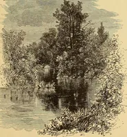 An illustration from American art and American art collections; essays on artistic subjects (1889)