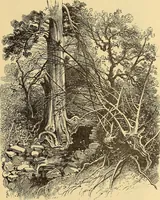 An illustration from American art and American art collections; essays on artistic subjects (1889)