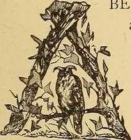 An illustration from American art and American art collections; essays on artistic subjects (1889)