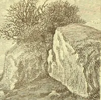 Picture 61 of 438 from American art and American art collections; essays on artistic subjects (1889), leaf 112