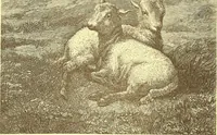 Picture 62 of 438 from American art and American art collections; essays on artistic subjects (1889), leaf 112
