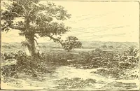 Picture 79 of 438 from American art and American art collections; essays on artistic subjects (1889), leaf 148