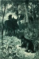 An illustration from American art and American art collections; essays on artistic subjects (1889)