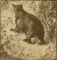 Picture 103 of 438 from American art and American art collections; essays on artistic subjects (1889), leaf 175