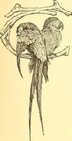 Picture 106 of 438 from American art and American art collections; essays on artistic subjects (1889), leaf 180