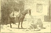 Picture 135 of 438 from American art and American art collections; essays on artistic subjects (1889), leaf 228