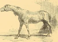 Picture 140 of 438 from American art and American art collections; essays on artistic subjects (1889), leaf 233