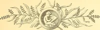 Picture 175 of 438 from American art and American art collections; essays on artistic subjects (1889), leaf 286
