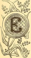 Picture 176 of 438 from American art and American art collections; essays on artistic subjects (1889), leaf 286