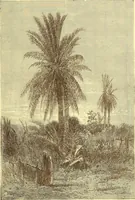 Picture 190 of 438 from American art and American art collections; essays on artistic subjects (1889), leaf 306