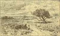 Picture 192 of 438 from American art and American art collections; essays on artistic subjects (1889), leaf 309