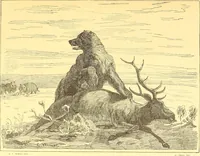 Picture 224 of 438 from American art and American art collections; essays on artistic subjects (1889), leaf 350