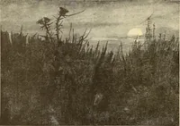 Picture 251 of 438 from American art and American art collections; essays on artistic subjects (1889), leaf 391