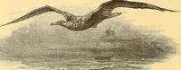 Picture 262 of 438 from American art and American art collections; essays on artistic subjects (1889), leaf 405