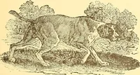 Picture 333 of 438 from American art and American art collections; essays on artistic subjects (1889), leaf 504