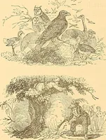 Picture 336 of 438 from American art and American art collections; essays on artistic subjects (1889), leaf 505