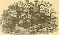 Picture 343 of 438 from American art and American art collections; essays on artistic subjects (1889), leaf 511