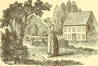 Picture 350 of 438 from American art and American art collections; essays on artistic subjects (1889), leaf 520