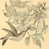 Picture 362 of 438 from American art and American art collections; essays on artistic subjects (1889), leaf 537