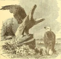 Picture 374 of 438 from American art and American art collections; essays on artistic subjects (1889), leaf 548