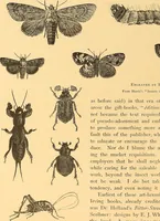 Picture 391 of 438 from American art and American art collections; essays on artistic subjects (1889), leaf 577