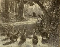 Picture 414 of 438 from American art and American art collections; essays on artistic subjects (1889), leaf 611