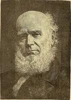 An illustration from American art and American art collections; essays on artistic subjects (1889)