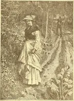 Picture 434 of 438 from American art and American art collections; essays on artistic subjects (1889), leaf 642