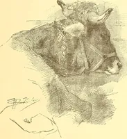 Picture 39 of 438 from American art and American art collections; essays on artistic subjects (1889), leaf 76