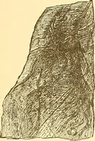 Picture 73 of 407 from American art and American art collections; essays on artistic subjects (1889), leaf 100