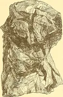 Picture 74 of 407 from American art and American art collections; essays on artistic subjects (1889), leaf 100