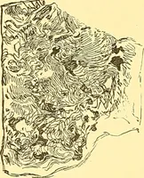 Picture 80 of 407 from American art and American art collections; essays on artistic subjects (1889), leaf 105